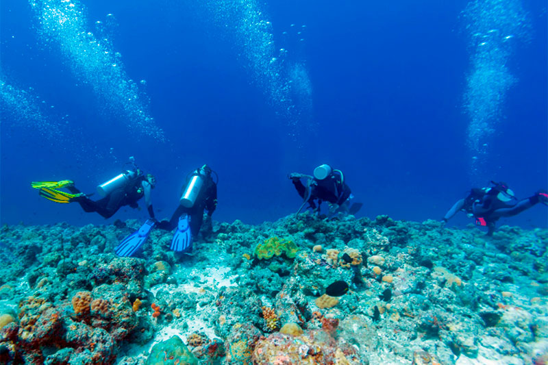 Inmersión de buceo en grupo en Maldivas