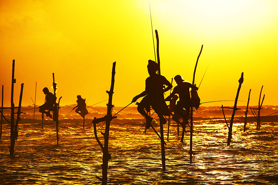 Descubre los increíbles rincones de Sri Lanka