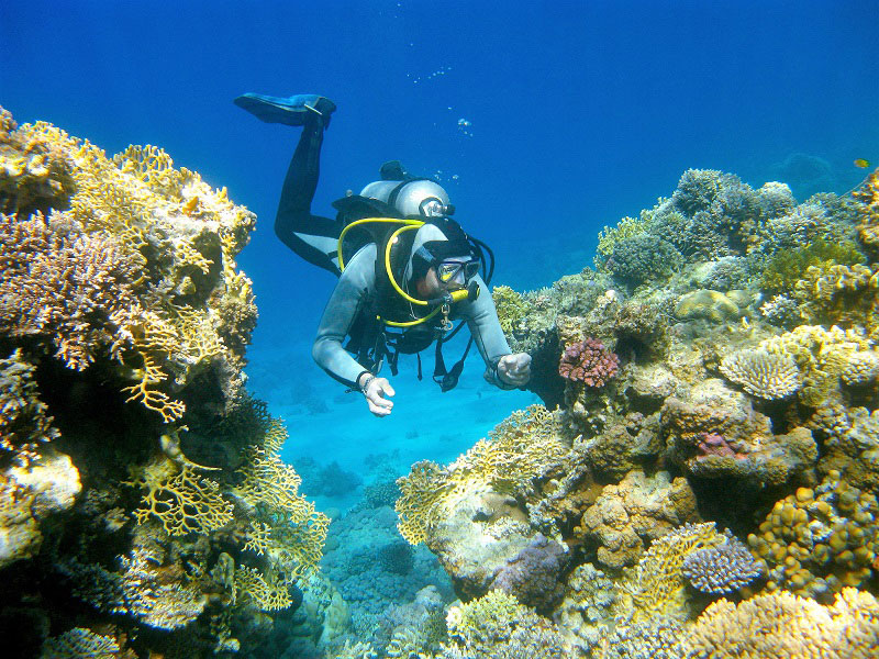 Buceo en arrecife de coral en Maldivas