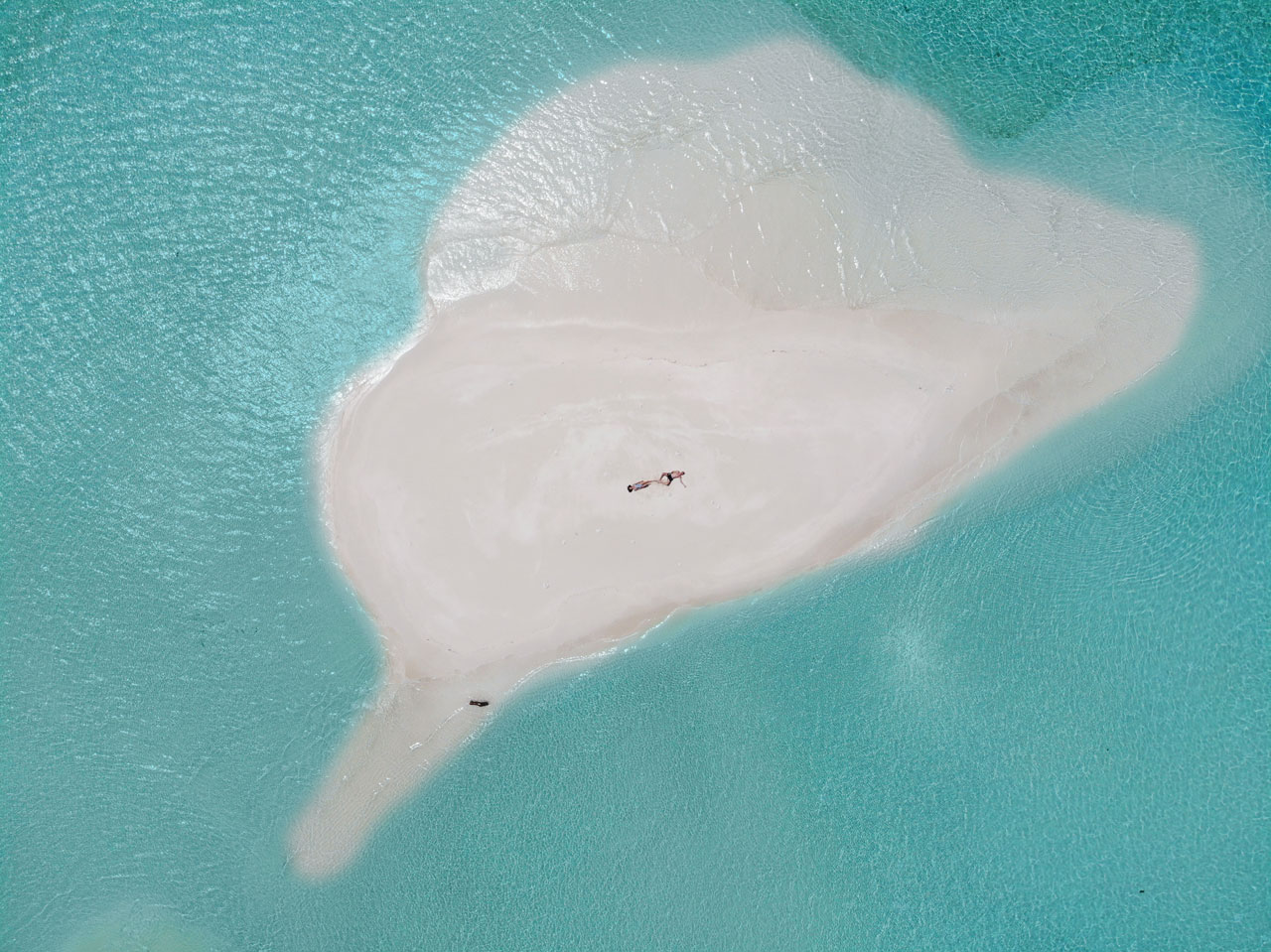 Sandbank - Cocoon Maldives