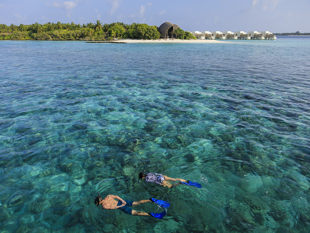 Dhigali Maldives - snorkel