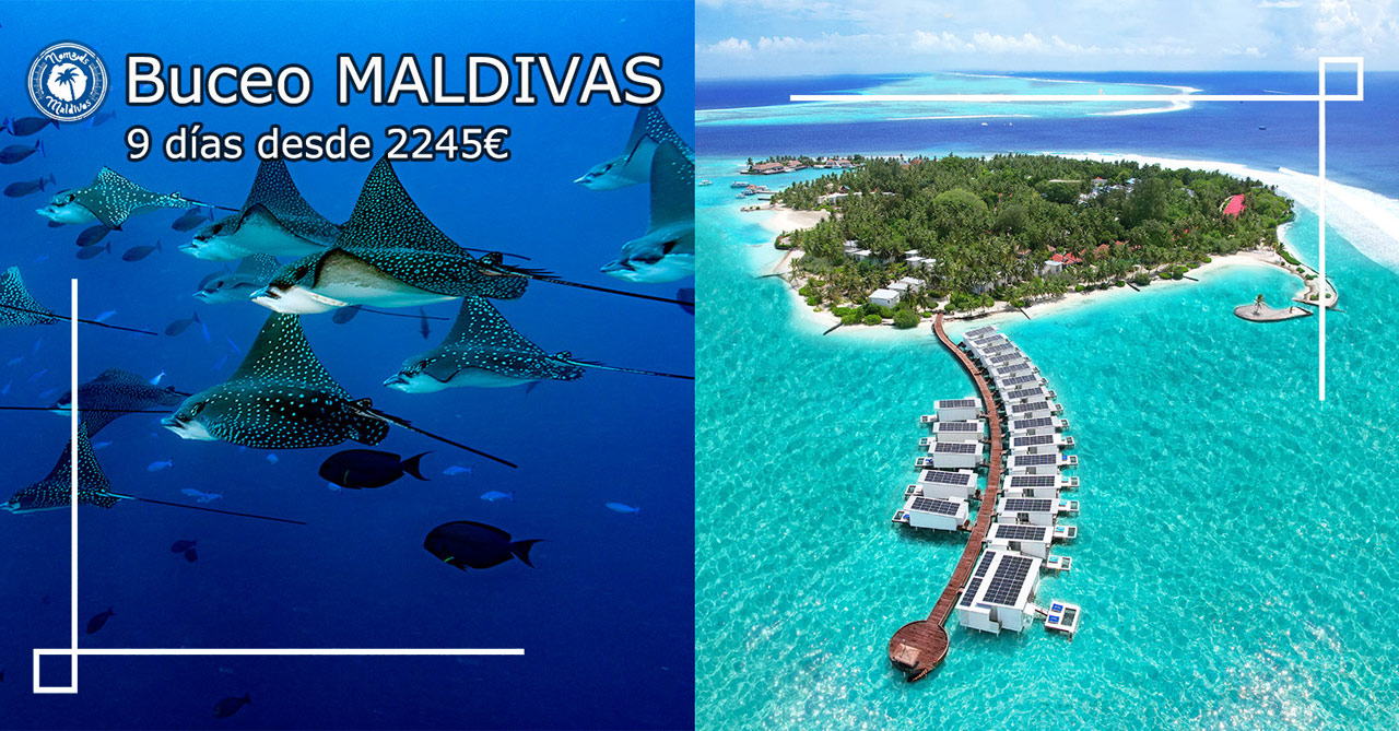 OFERTA Buceo Maldivas Rasdhoo & Kandooma