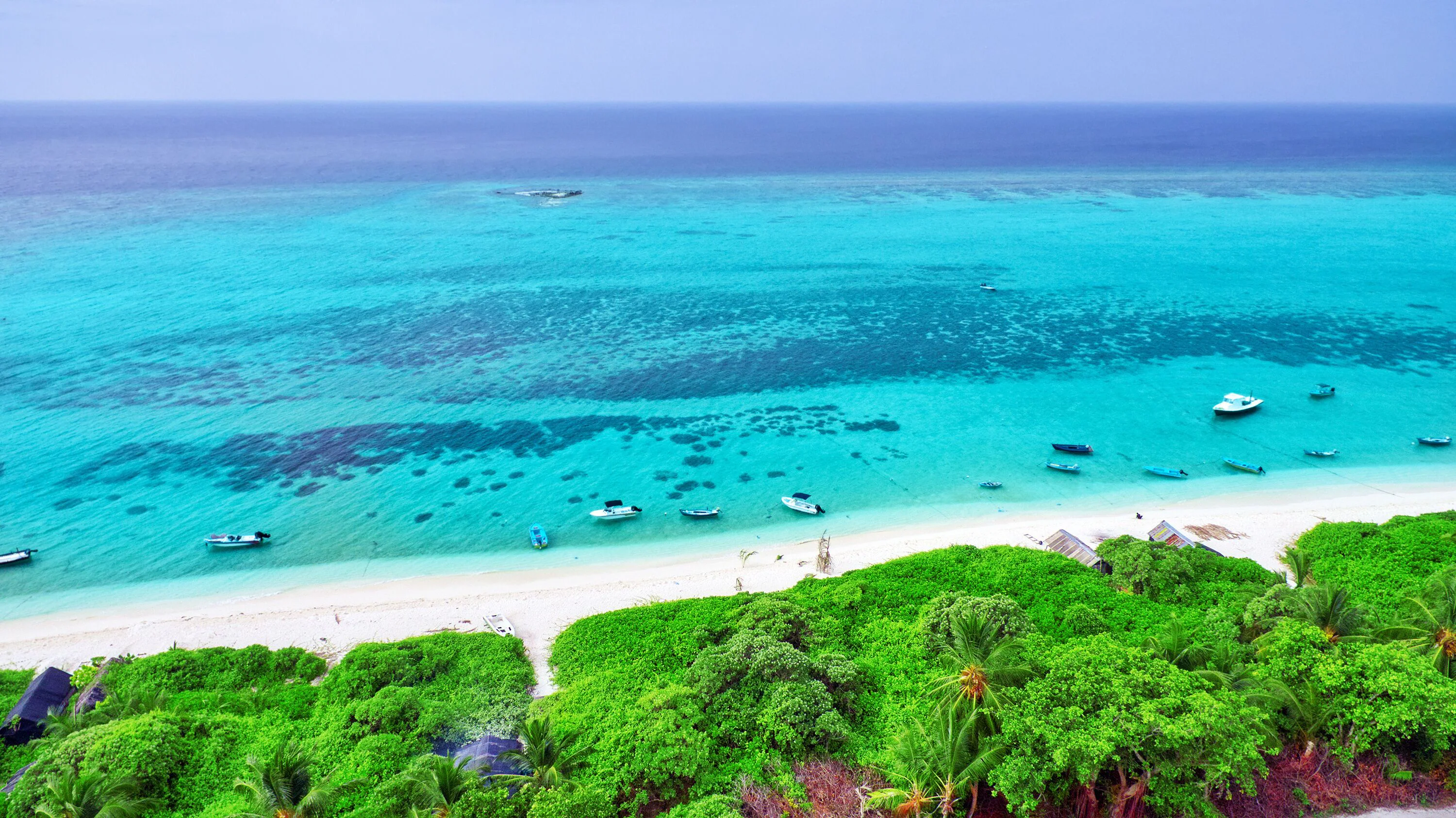Playa en isla local de Thoddoo
