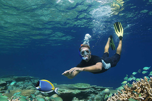 Snorkel en el arrecife de casa de Anantara Kihavah