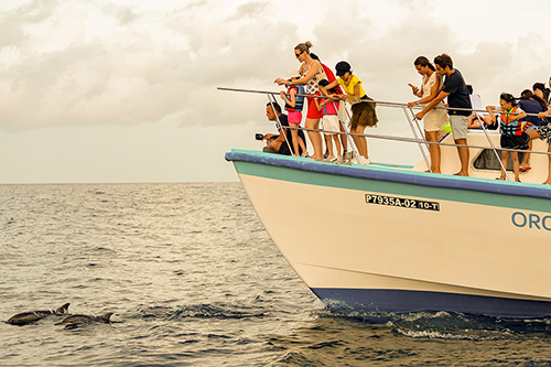 Excursiones en Bandos Maldives