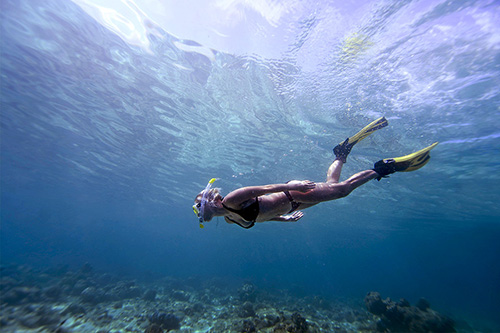 Snorkel en Bandos Maldives