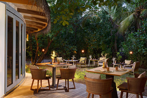 Onu de noche, rodeado de bambú y vegetación tropical