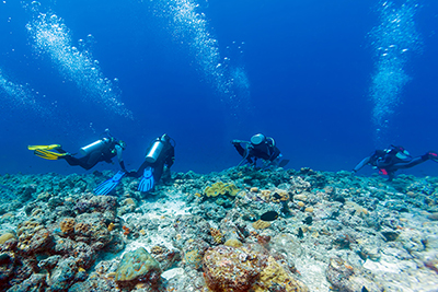 Buceo en Maldivas